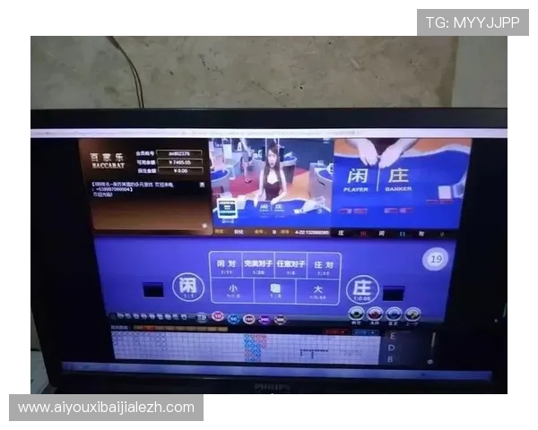 掌上百家乐下载手机版操作指南，详细介绍新手入门技巧，助你快速成为百家乐高手