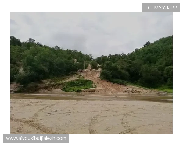 如何应对BG大游真人登录线路不一样导致的登录困难与解决方案详解